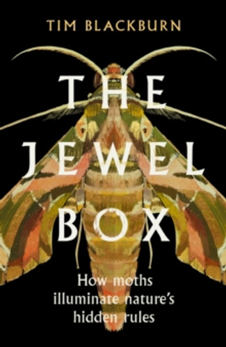 The Jewel Box 9781474624527 Hardback