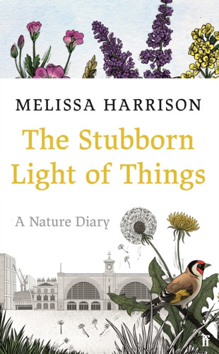 The Stubborn Light of Things 9780571363506 Hardback