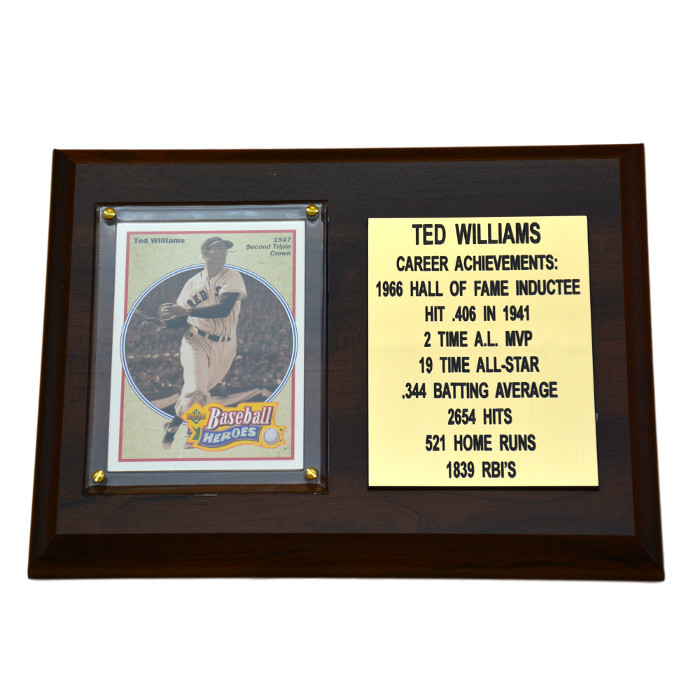 Ted-Williams-Boston-Red-Sox-8-