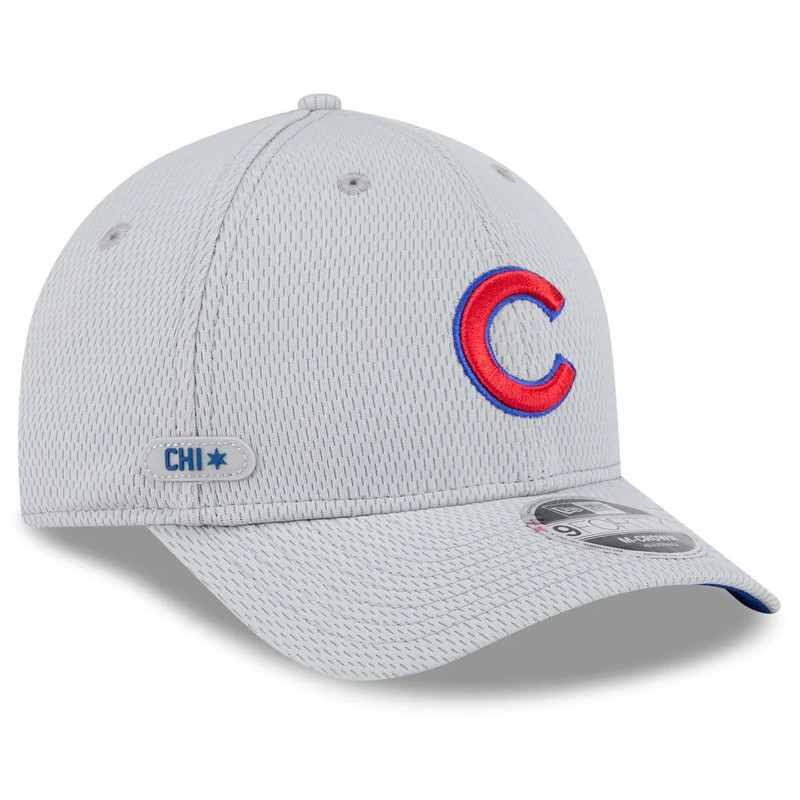 Men's New Era Chicago Cubs Gray 2025 MLB Clubhouse 9FORTY M-Crown Adjustable Hat