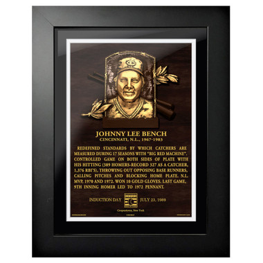 Johnny Bench Baseball Hall of Fame 18 x 14 Framed Plaque Art