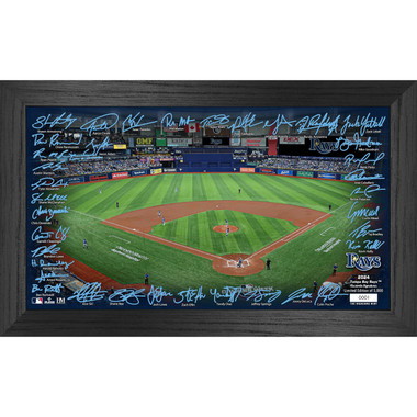 Highland Mint Tampa Bay Rays 2024 Framed 12 x 20 Signature Field