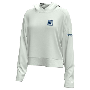 Women’s Under Armour Baseball Hall of Fame Gameday Motion Stone Performance Pullover Hood