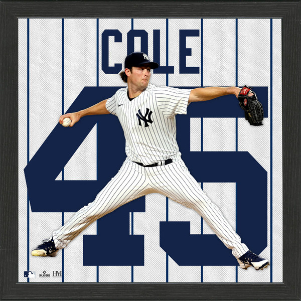 Highland Mint Gerrit Cole New York Yankees 13 x 13 Impact Jersey Framed Photo