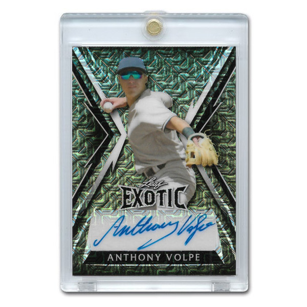 Anthony Volpe Autographed Card 2023 Leaf Exotic Prismatic Alligator #BA-AV2 Ltd Ed of 7