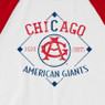 Unisex Teambrown Chicago American Giants Champions Collection Longsleeve Baseball Shirt