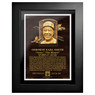 Ozzie Smith Baseball Hall of Fame 18 x 14 Framed Plaque Art