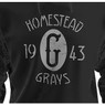 Unisex Teambrown Champions 1943 Homestead Grays Premium Black Hooded Sweatshirt