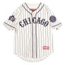 Men’s Chicago American Giants Replica Pinstripe Heritage Jersey