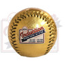Baseball Hall of Fame 2024 Induction Commemorative Gold Replica Signature Baseball