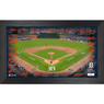 Highland Mint Detroit Tigers 2024 Framed 12 x 20 Signature Field