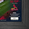 Highland Mint St. Louis Cardinals 2024 Framed 12 x 20 Signature Field