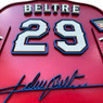 Adrian Beltré 3D Signature Wood Jersey 19 x 18 Wall Sign (red)