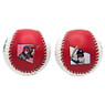 Baseball Hall of Fame Yakyu Manga Art Baseball