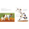 Decoy Saves Opening Day