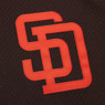 Men’s Mitchell & Ness Tony Gwynn San Diego Padres Authentic Replica 1985 Mesh Batting Practice Jersey