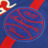 Men’s Indianapolis Clowns Royal Blue Replica Heritage Jersey
