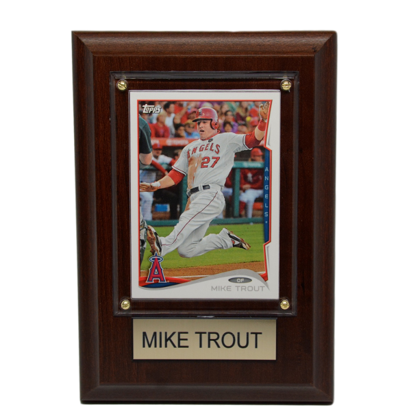 Mike Trout Autographed 16x20 - Citi Field Background