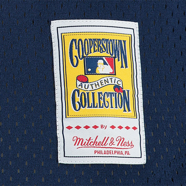 Men's Mitchell & Ness Craig Biggio 1991 Houston Astros Batting Practice Cooperstown Jersey