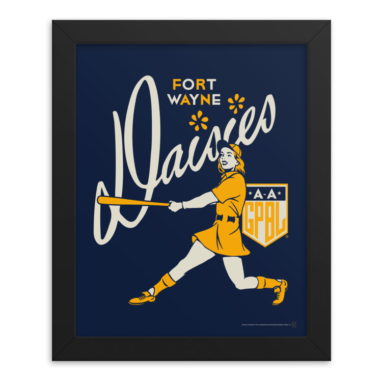 Teambrown Fort Wayne Daisies Artwork Framed 8 x 10 Print