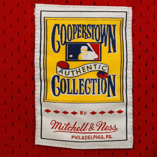 Men's Mitchell & Ness Johnny Bench 1983 Cincinnati Reds Batting Practice Cooperstown Jersey