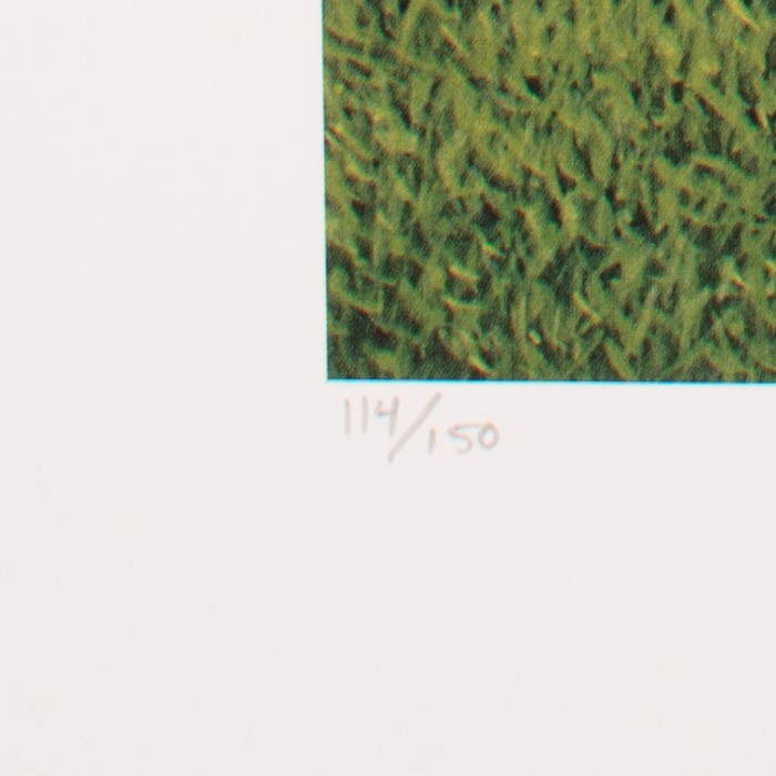 Ty Cobb Arthur Miller Signed Fine Art 14  x 26 Litho Ltd Ed of 150