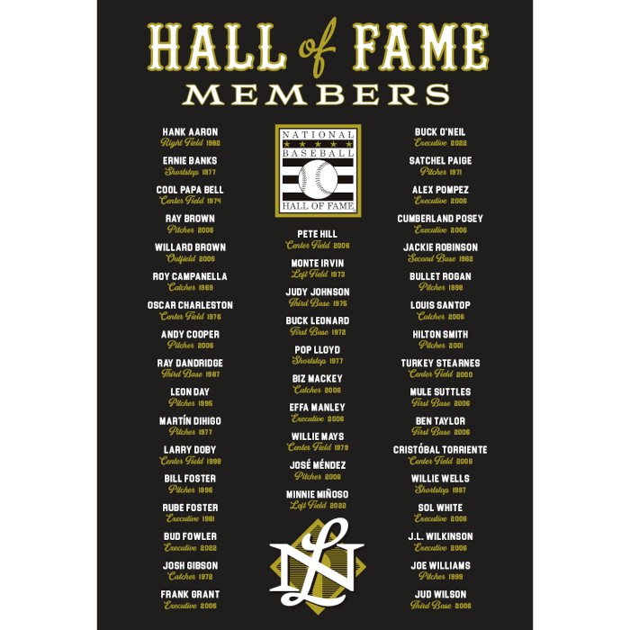 Men’s Teambrown Negro Leagues Hall of Famer Roster T-Shirt (2022)