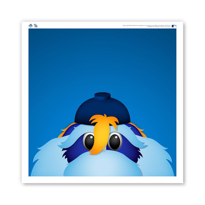 Tampa Bay Rays Raymond Minimalist MLB Mascots Collection 12 x 12 Fine Art Print by artist S. Preston Tampa Bay Rays Raymond Minimalist MLB Mascots Collection 12 x 12 Fine Art Print by artist S. Preston