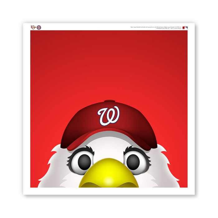 Washington Nationals Screech Minimalist MLB Mascots Collection 12 x 12 Fine Art Print by artist S. Preston Washington Nationals Screech Minimalist MLB Mascots Collection 12 x 12 Fine Art Print by artist S. Preston
