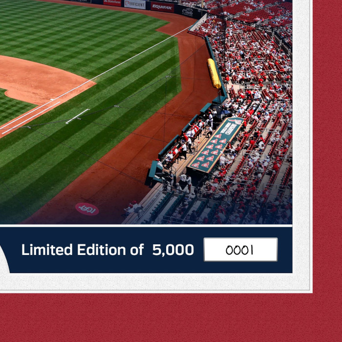 Highland Mint St. Louis Cardinals World Series Champs Stadium Bronze Coin 13 x 16 Photo Mint