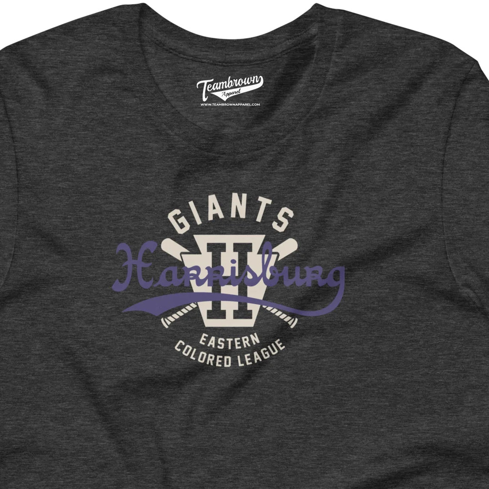 Unisex Teambrown Harrisburg Giants Team Dark Grey Heather T-Shirt