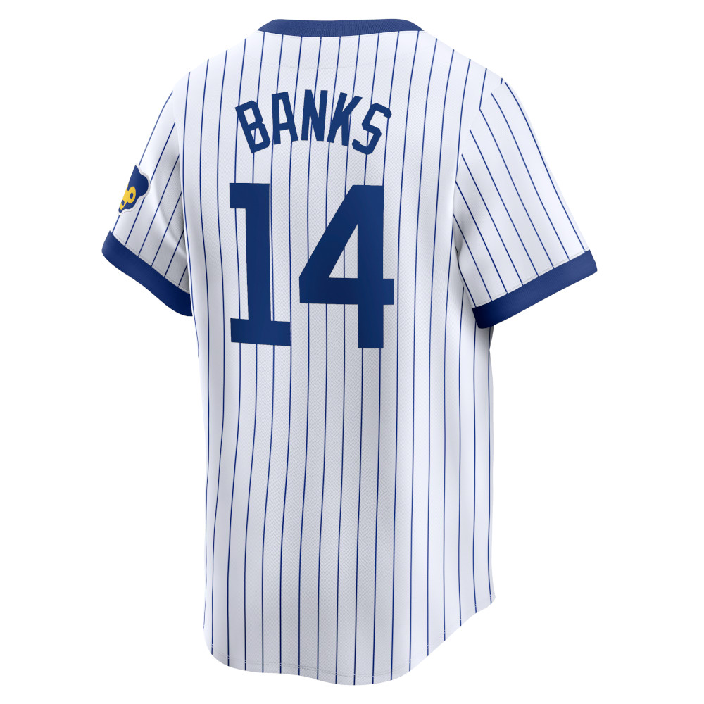 Men’s Ernie Banks Nike Vapor Premier Limited Chicago Cubs Pinstripe Replica Jersey