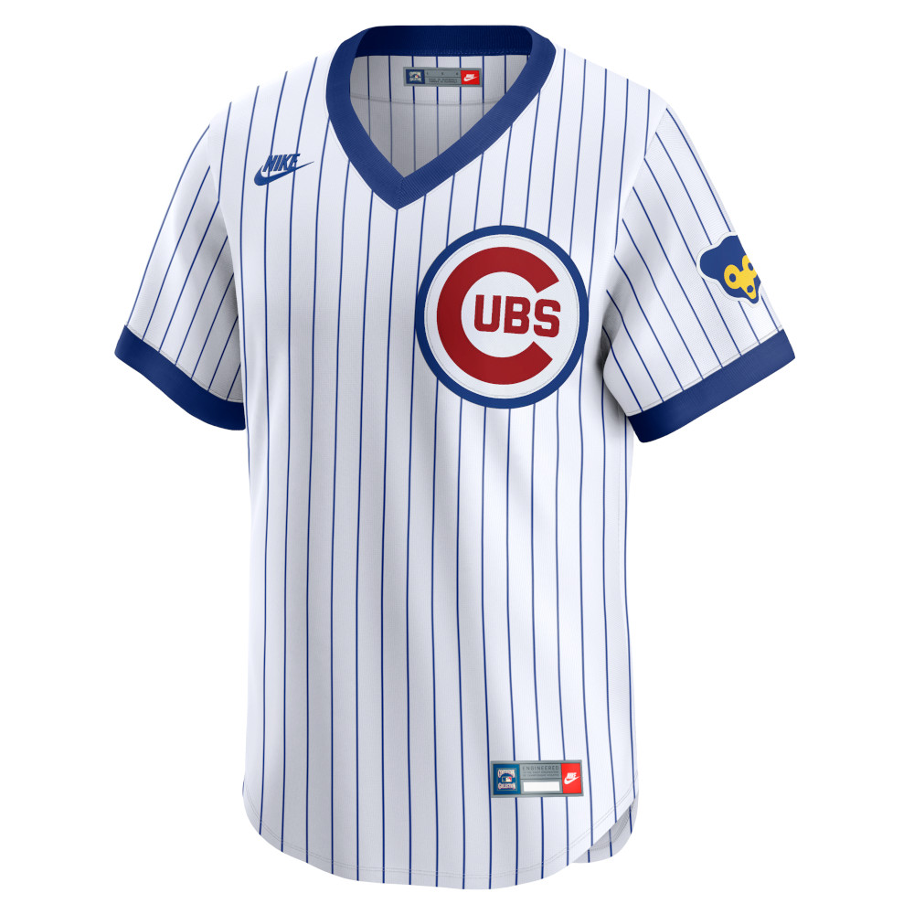Men’s Ernie Banks Nike Vapor Premier Limited Chicago Cubs Pinstripe Replica Jersey
