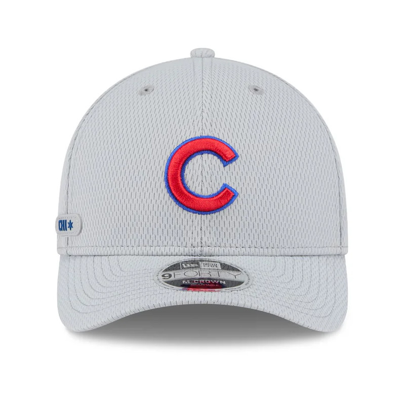 Men's New Era Chicago Cubs Gray 2025 MLB Clubhouse 9FORTY M-Crown Adjustable Hat