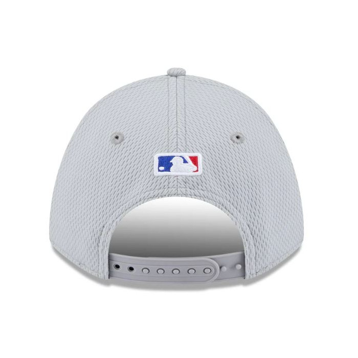 Men's New Era Chicago Cubs Gray 2025 MLB Clubhouse 9FORTY M-Crown Adjustable Hat