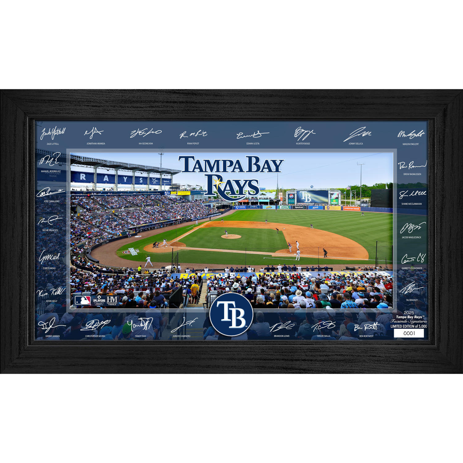 Tampa Bay Rays Highland Mint 2025 Framed 12 x 20 Signature Field