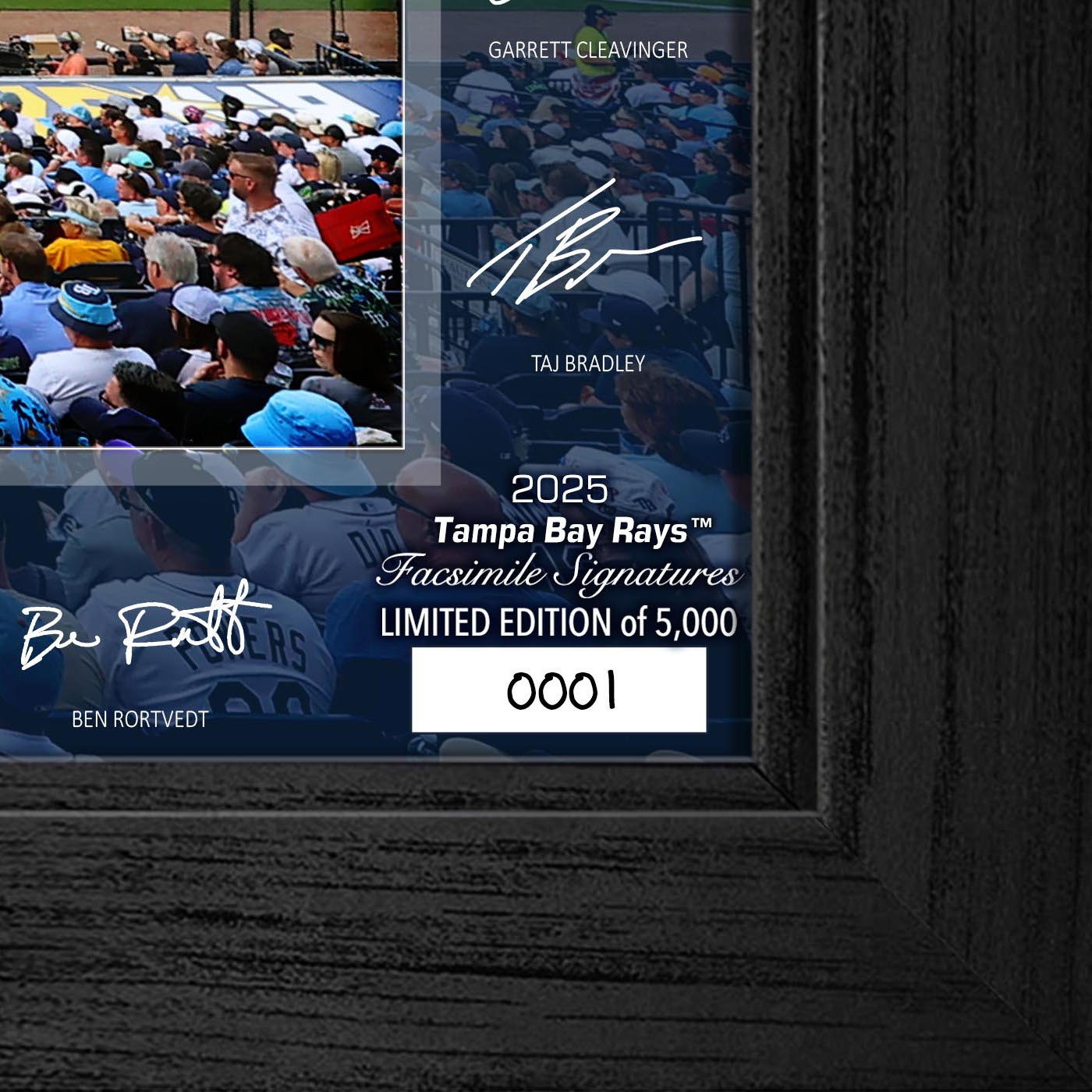 Tampa Bay Rays Highland Mint 2025 Framed 12 x 20 Signature Field