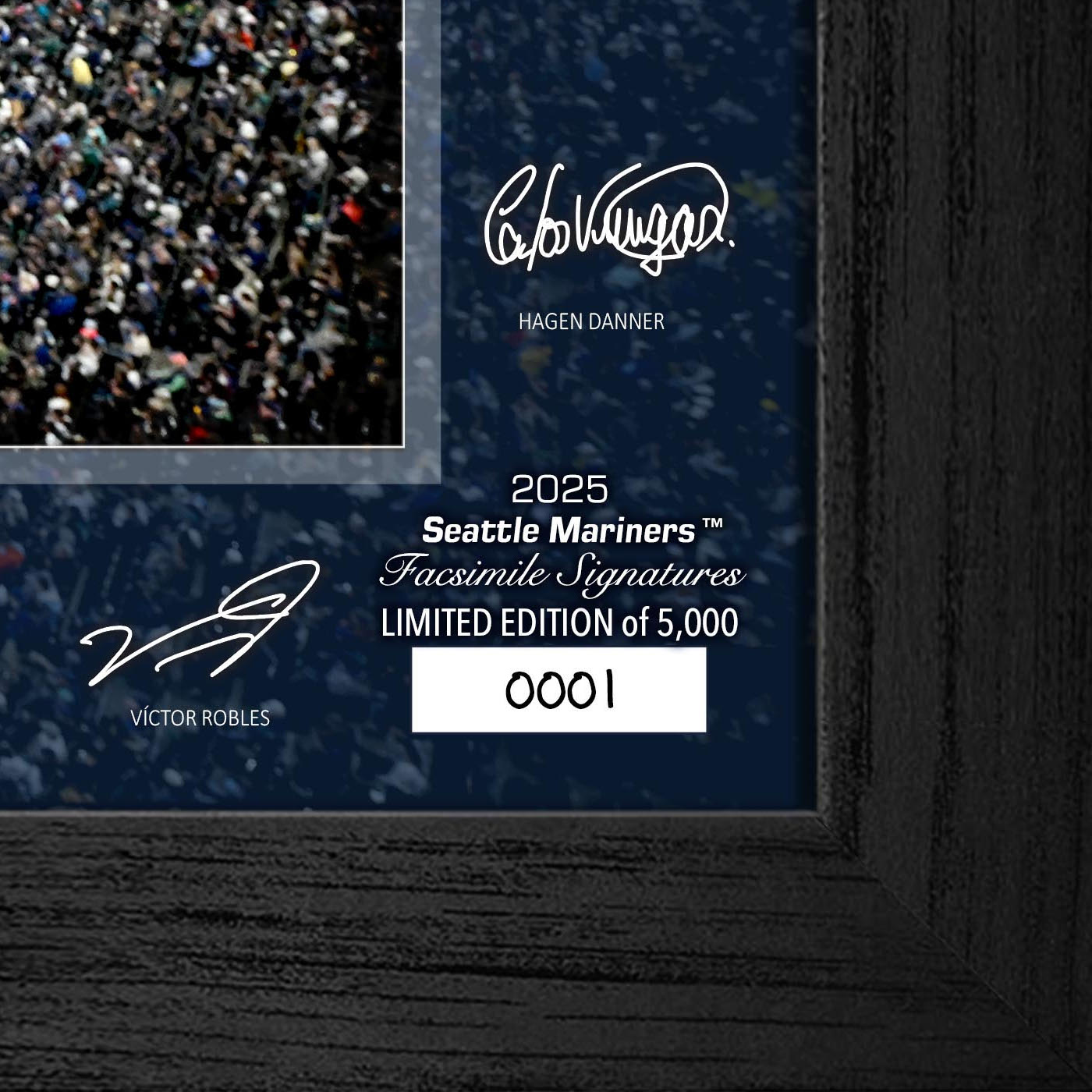 Seattle Mariners Highland Mint 2025 Framed 12 x 20 Signature Field