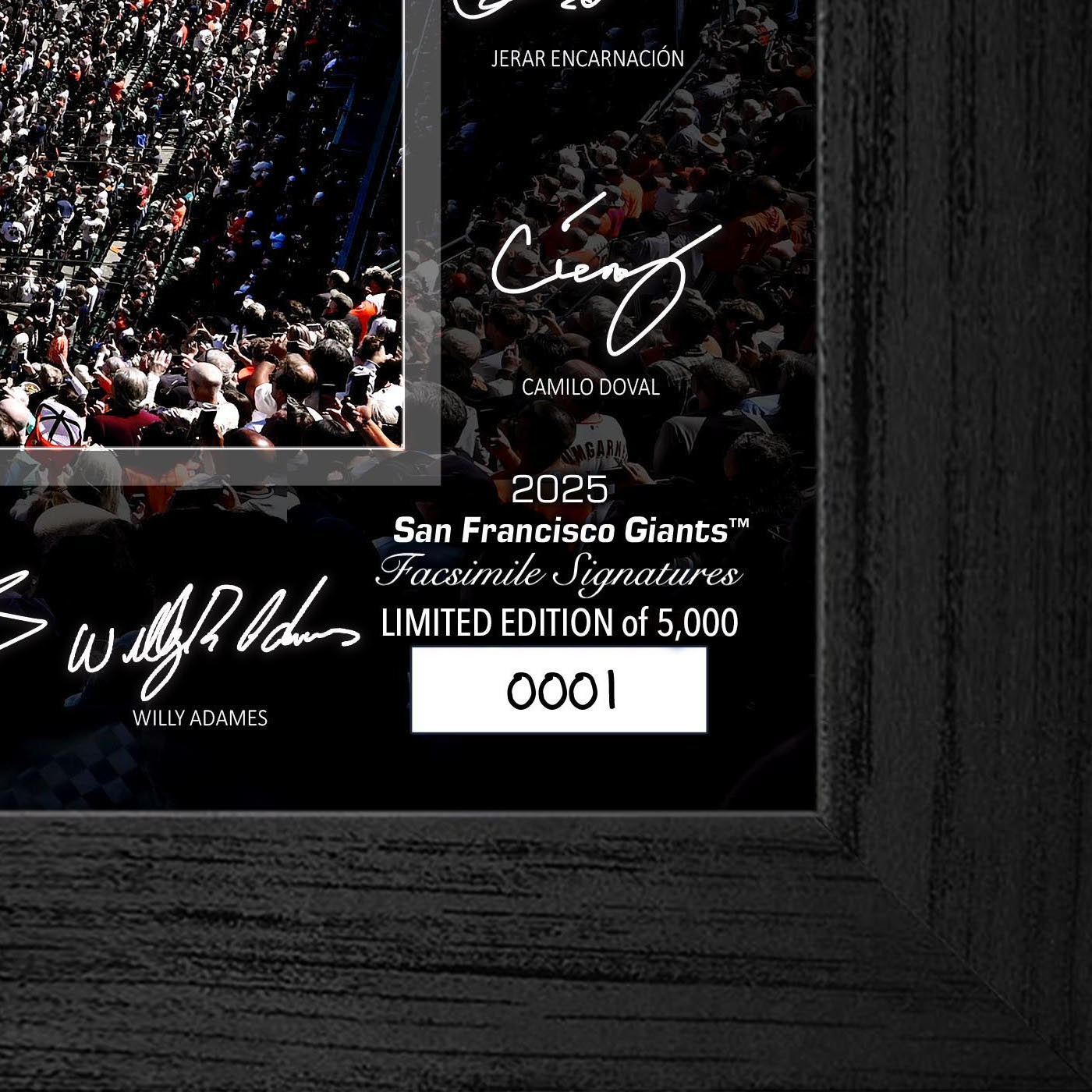 San Francisco Giants Highland Mint 2025 Framed 12 x 20 Signature Field