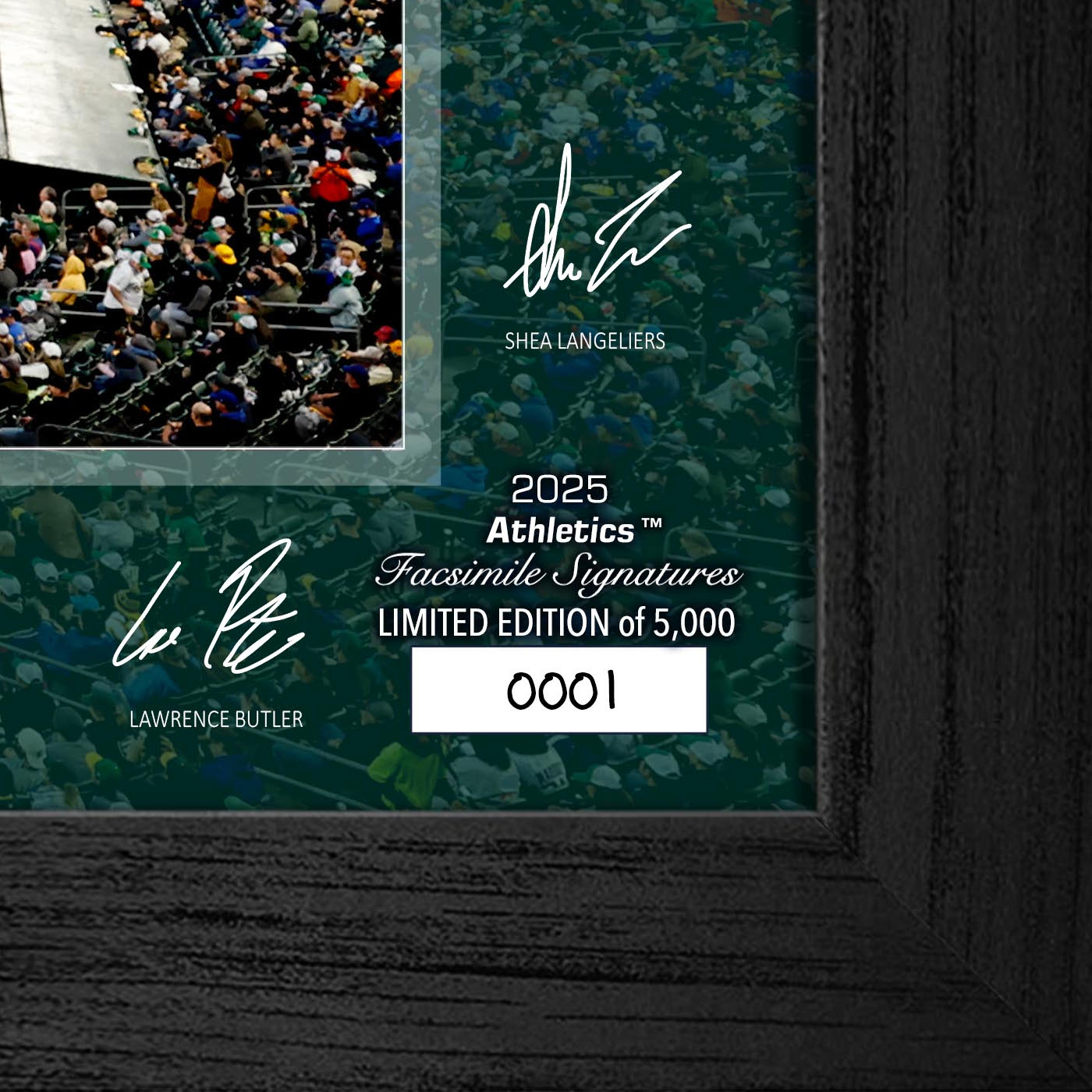 Oakland Athletics Highland Mint 2025 Framed 12 x 20 Signature Field