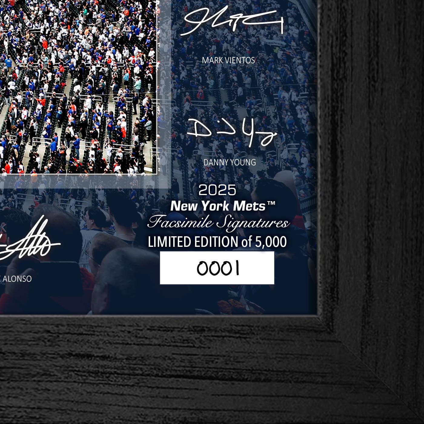 New York Mets Highland Mint 2025 Framed 12 x 20 Signature Field