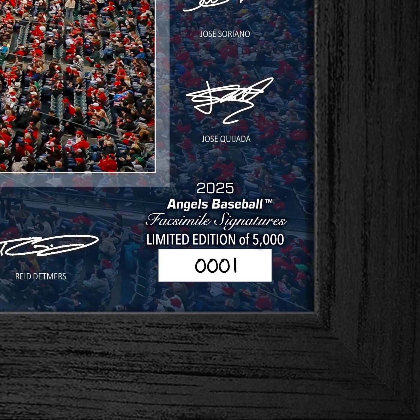 Los Angeles Angels Highland Mint 2025 Framed 12 x 20 Signature Field