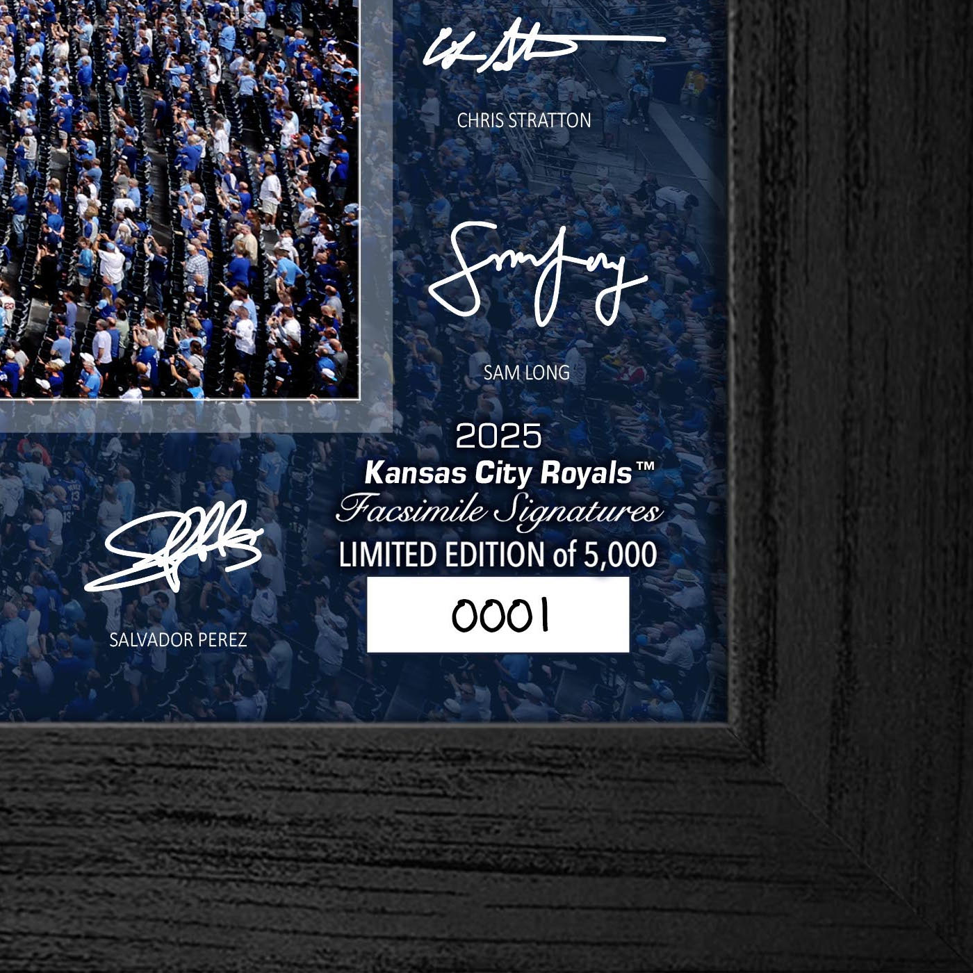 Kansas City Royals Highland Mint 2025 Framed 12 x 20 Signature Field