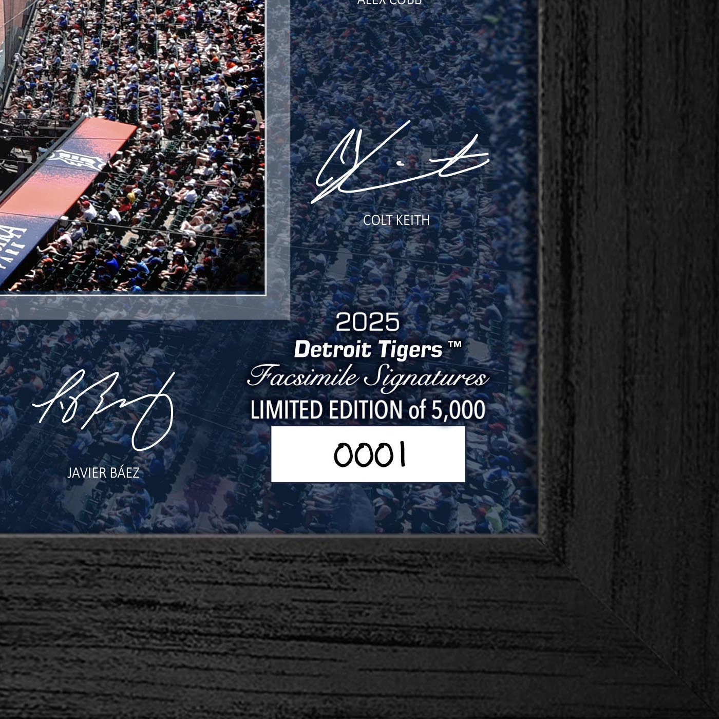 Detroit Tigers Highland Mint 2025 Framed 12 x 20 Signature Field