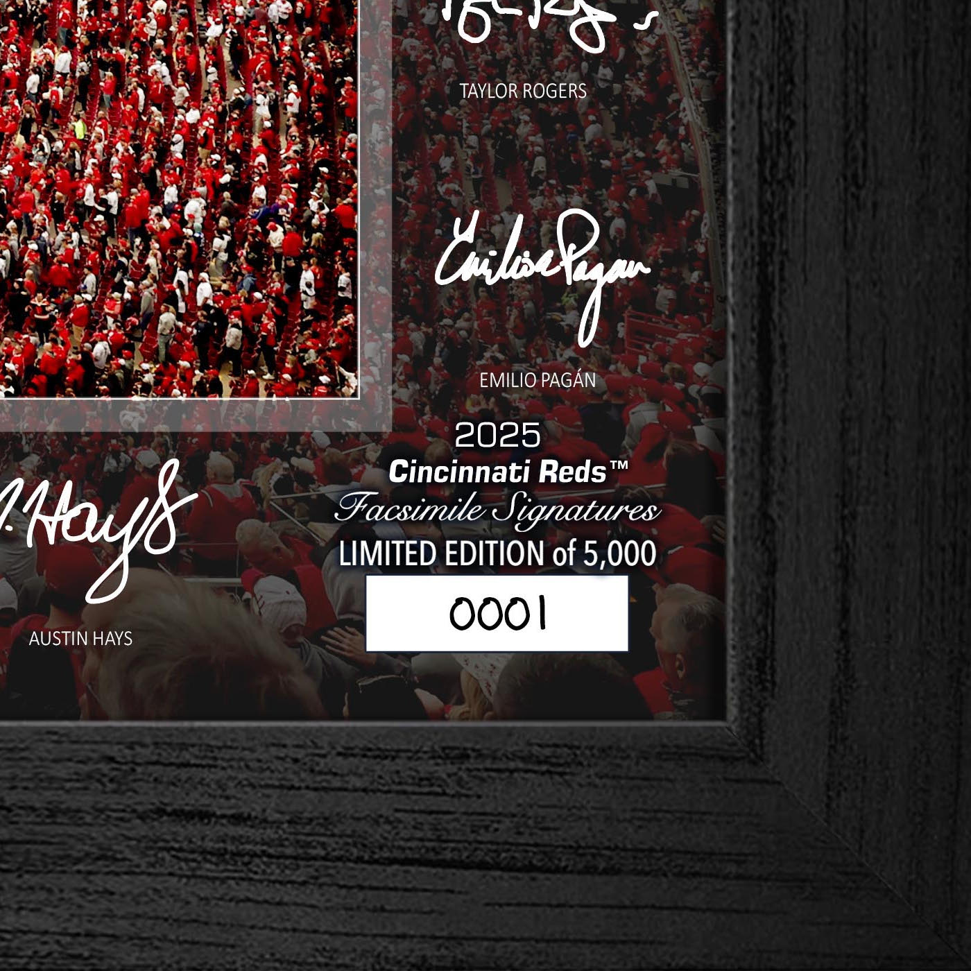 Cincinnati Reds Highland Mint 2025 Framed 12 x 20 Signature Field