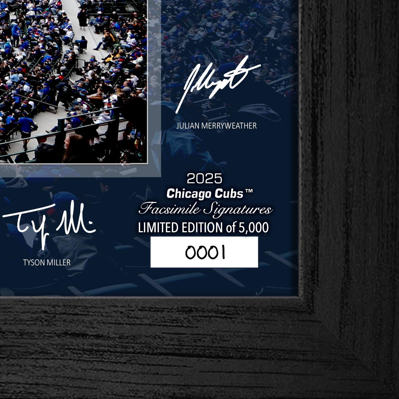Chicago Cubs Highland Mint 2025 Framed 12 x 20 Signature Field
