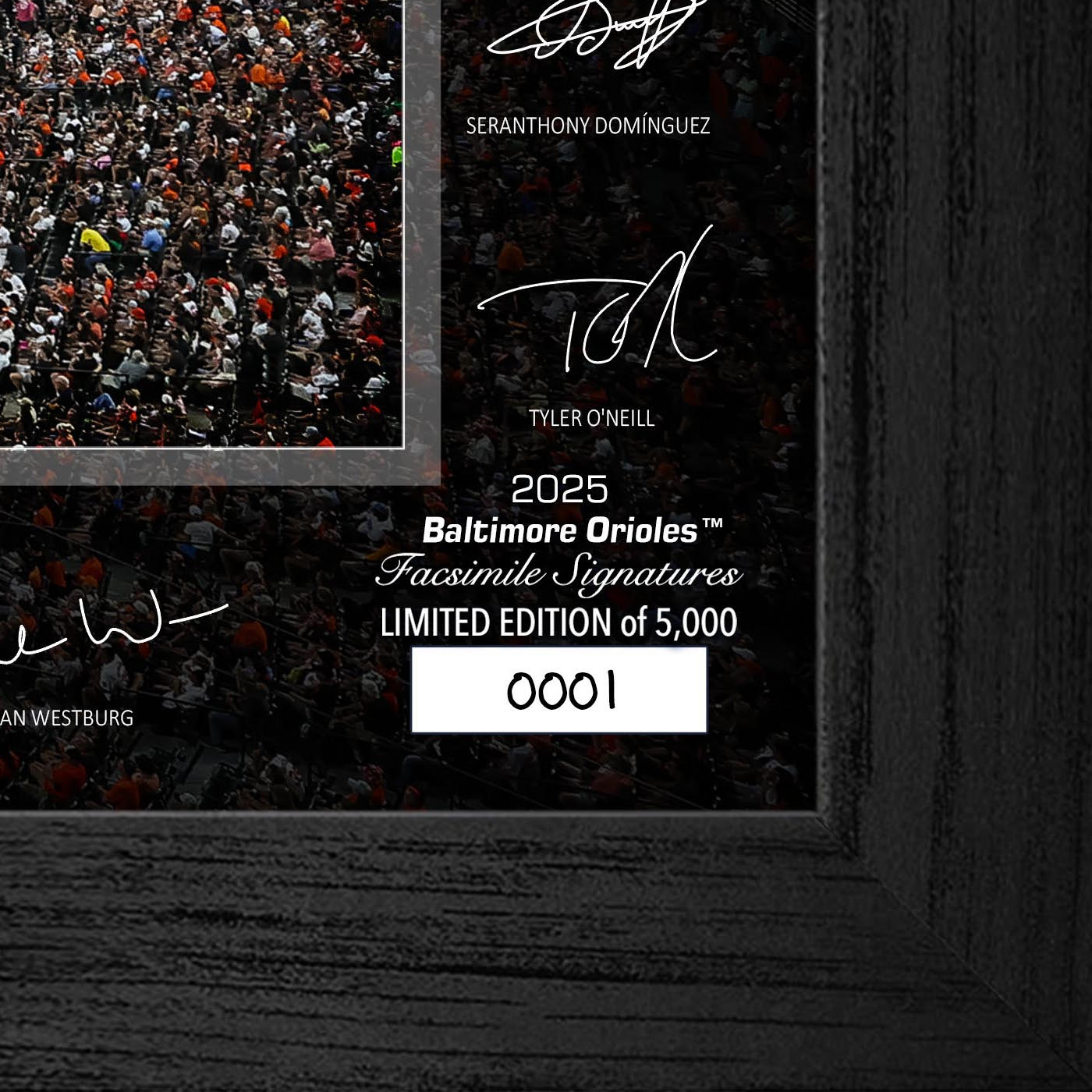 Baltimore Orioles Highland Mint 2025 Framed 12 x 20 Signature Field Baltimore Orioles Highland Mint 2025 Framed 12 x 20 Signature Field