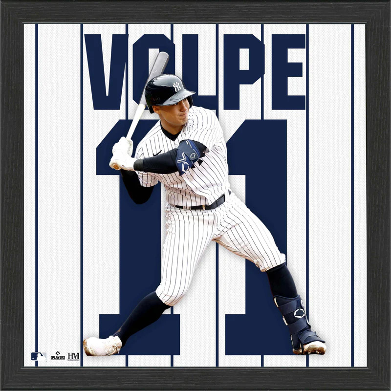 Highland Mint Anthony Volpe New York Yankees 13 x 13 Impact Jersey Framed Print