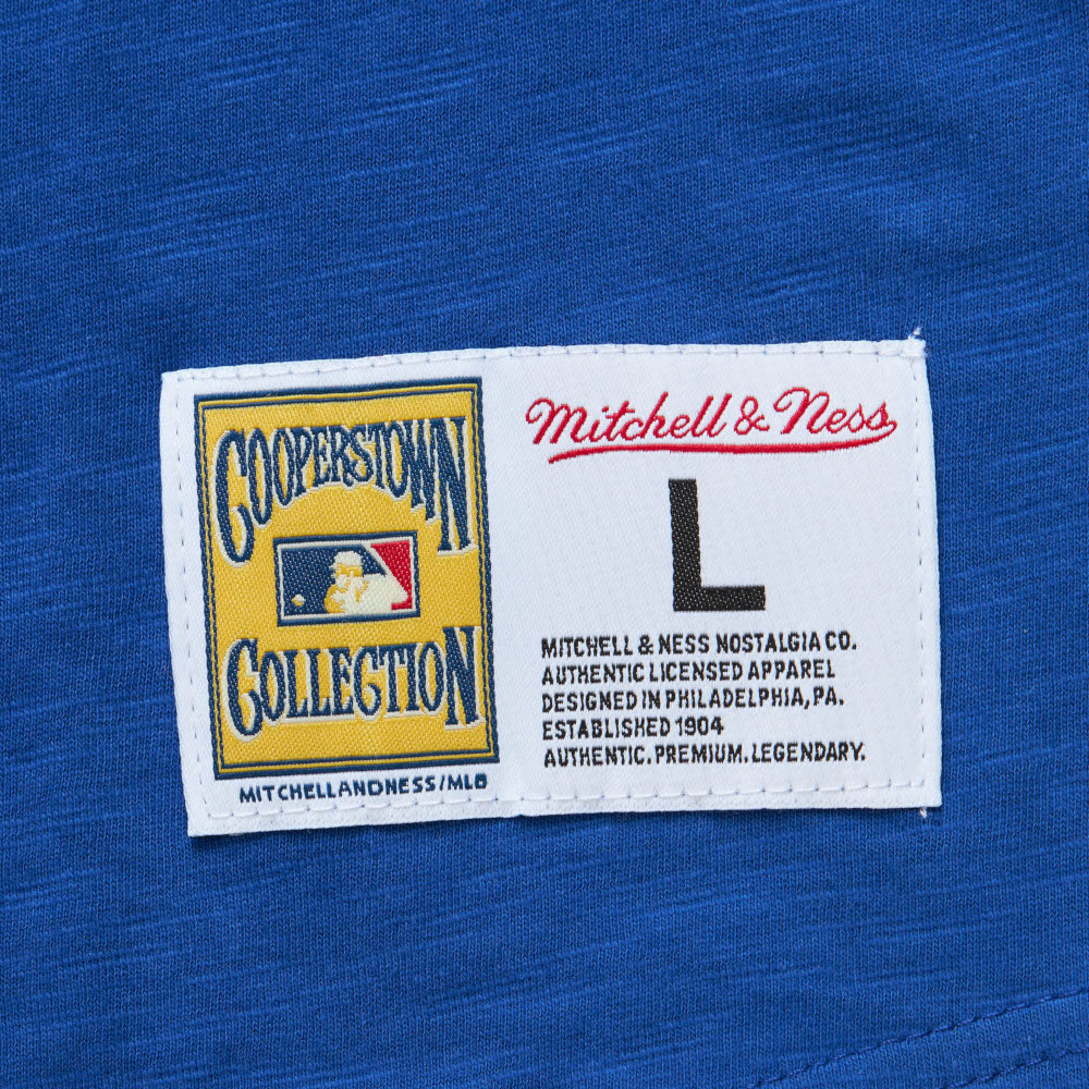 Men’s Mitchell & Ness Los Angeles Dodgers Cooperstown Collection Legendary Royal and Grey 3/4 Sleeve Slub Henley