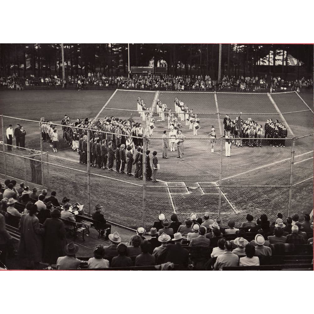 Out at the Plate: The Dot Wilkinson Story